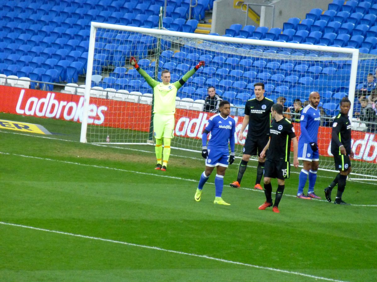 Season 2016/7 Cardiff City Game 03 December 2016 image number 039