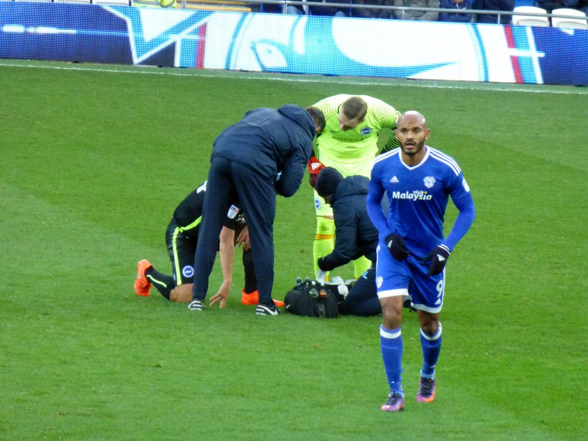 Season 2016/7 Cardiff City Game 03 December 2016 image number 040