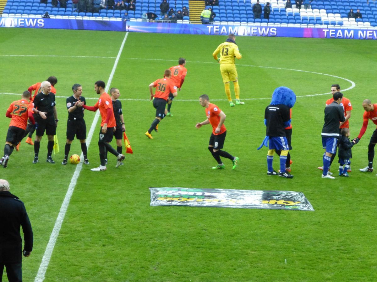 Season 2015/6 Cardiff City Game 20 February 2016 image number 009