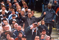 01014-36 - Champion