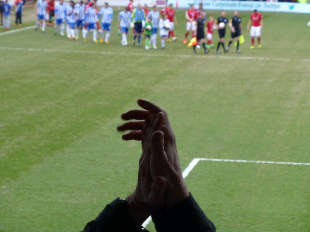 Nottingham Forest Game 30 March 2013