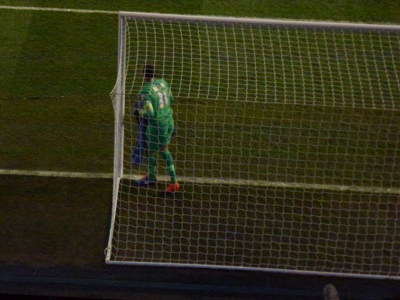 Image 011 Tottenham Hotspurs Capital One Cup 4th Rd Game 29 October 2014