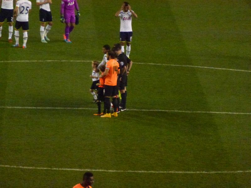 Image 017 Tottenham Hotspurs Capital One Cup 4th Rd Game 29 October 2014