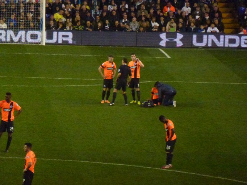 Image 043 Tottenham Hotspurs Capital One Cup 4th Rd Game 29 October 2014